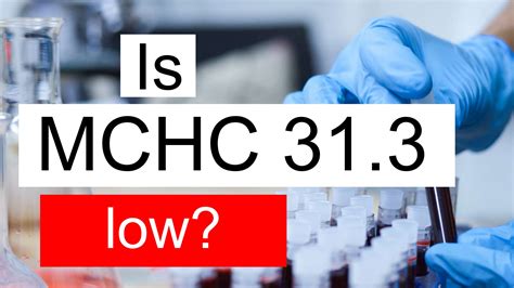 what does a mchc of 31.3 mean.
